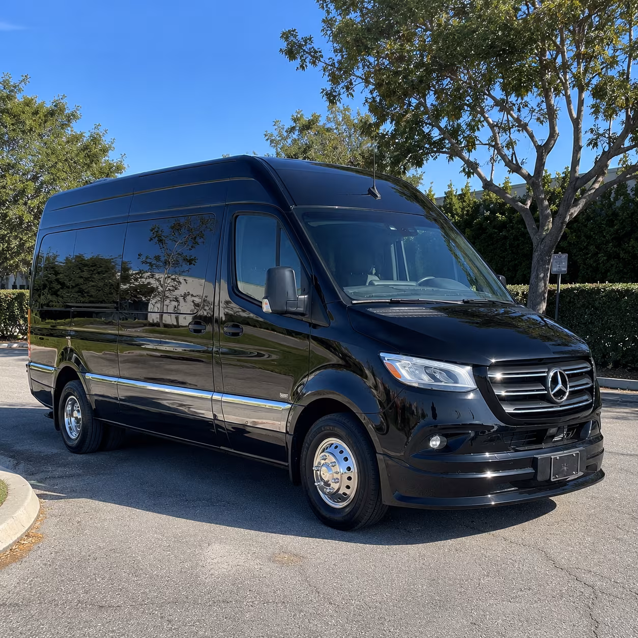 14 Passenger Sprinter Limo